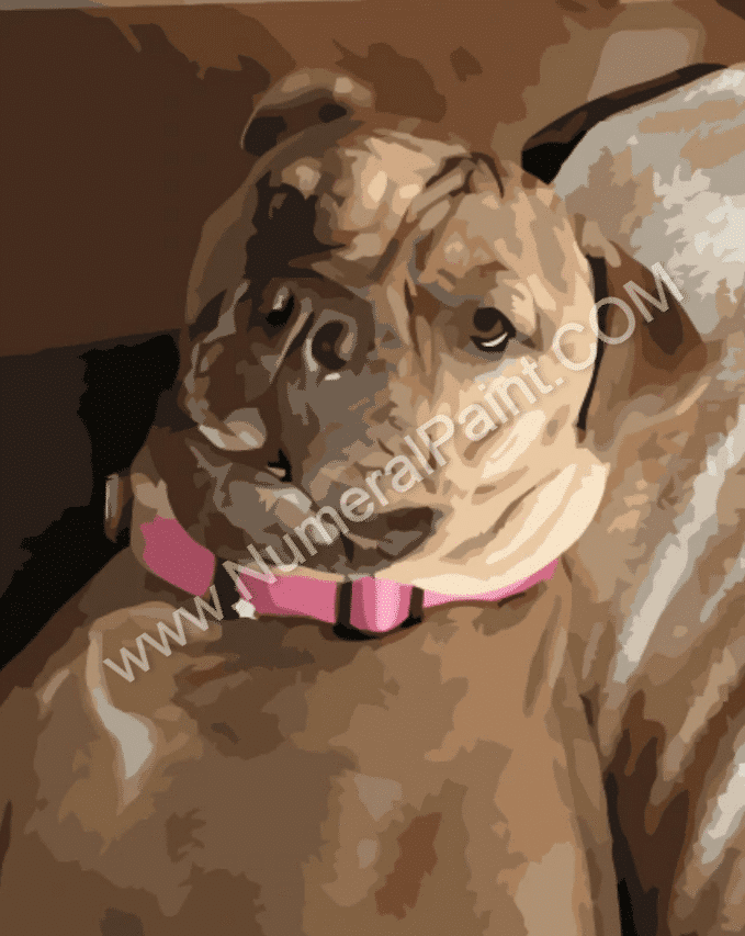 dog portrait paint by number