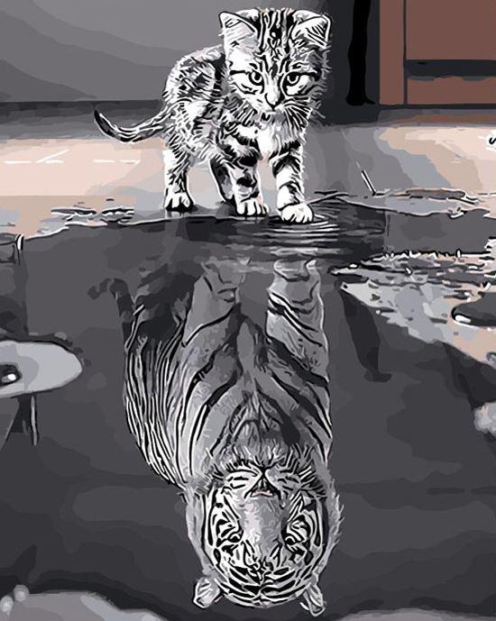 Cat Mirror Tiger - DIY Paint By Numbers - Modern Paint