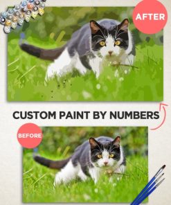 Custom Paint By Numbers