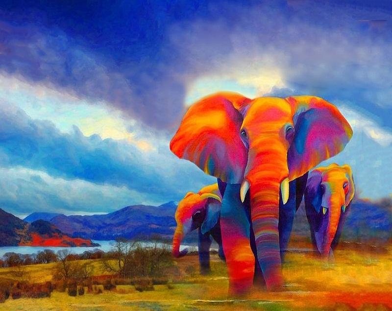 Colorful Elephants modern art canvas - DIY Paint By Numbers - Modern Paint
