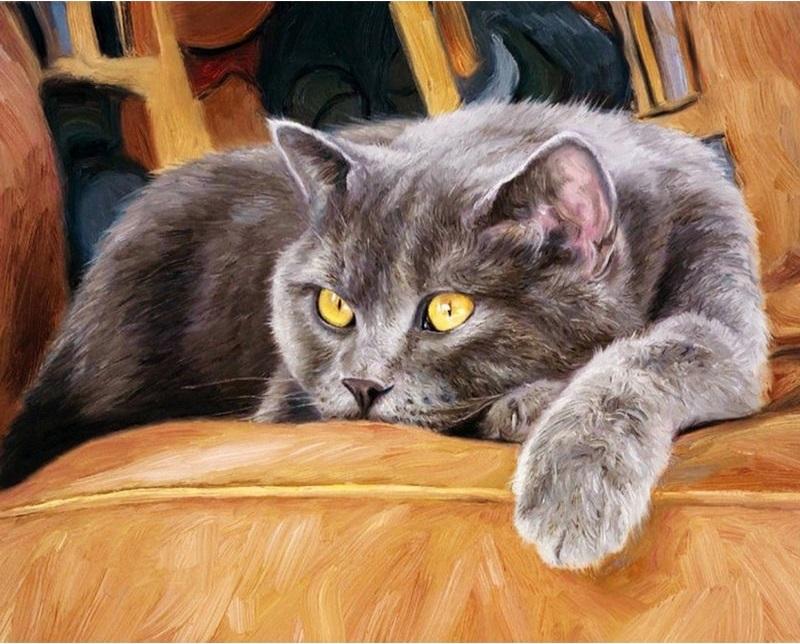Animals Cat Acrylic Paint - DIY Paint By Numbers - Modern Paint