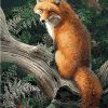 Fox Animals Kits Modern Wall Art Canvas - DIY Paint By Numbers - Numeral Paint