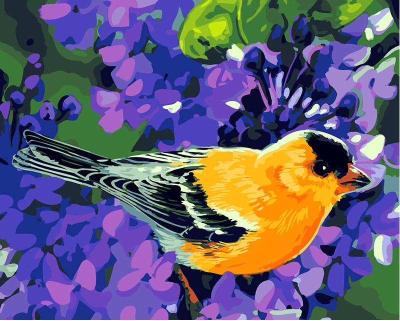Bird Modern Wall Art Canvas - DIY Paint By Numbers - Modern Paint
