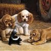 Dog Animals Kits Drawing Paint - DIY Paint By Numbers - Numeral Paint