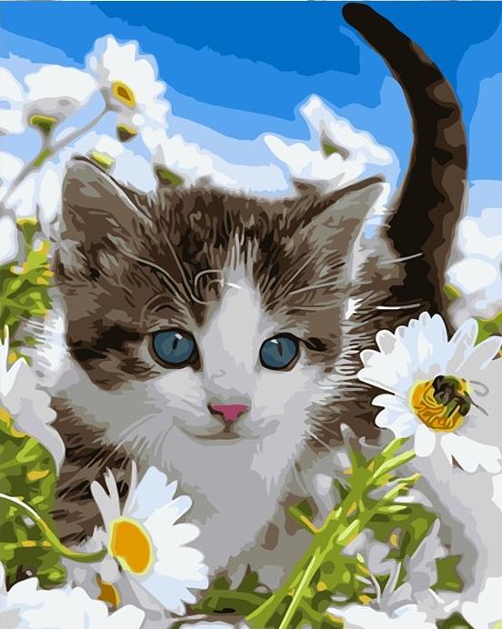 Flowers cat art picture - DIY Paint By Numbers - Modern Paint