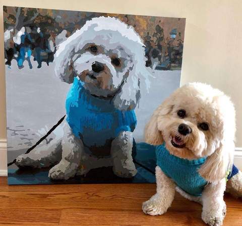 Custom Dog Painting by numbers