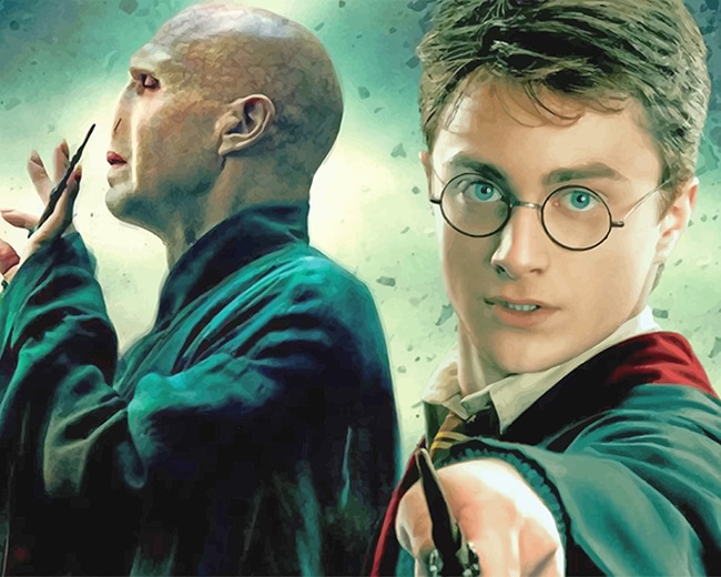 Harry Potter and Voldemort - Paint By Number - Painting By Numbers