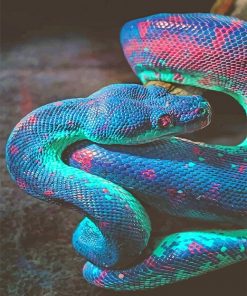 Rainbow Shimmering snake adult paint by numbers