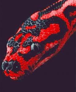 Red and black python adult paint by numbers