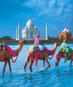 Taj Mahal Incredible India adult paint by numbers