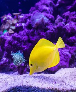 Tropical yellow fish adult paint by number