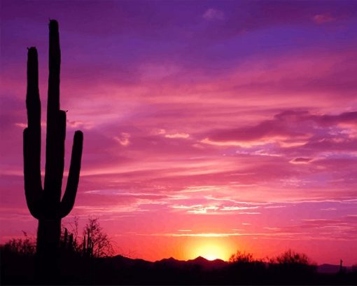 Beautiful Cactus Sunset paint by number