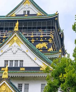 Japan Osaka Castle paint by number