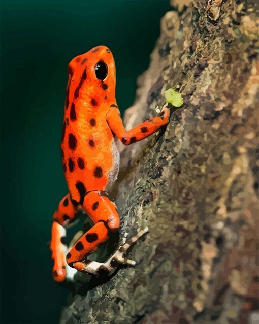 Orange Frog paint by number