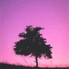 tree Silhouette adult paint by number