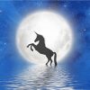 Unicorn Moon Silhouette paint by number