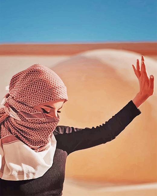 Arabian Woman Enjoying The Desert adult paint by numbers