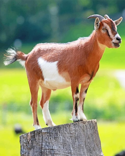Brown Goat paint by number