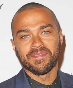 Jesse Williams Greys Anatomy adult paint by numbers