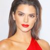 Kendall Jenner adult paint by numbers