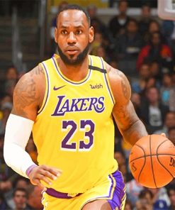 Lakers Lebron James paint by number