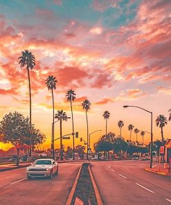 Los angeles palm tree sunset adult paint by numbers