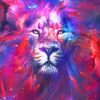 Nebula Lion adult paint by numbers