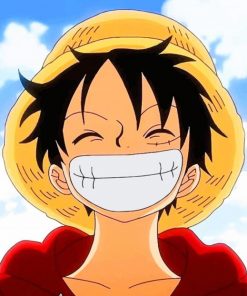 One Piece Luffy adult paint by numbers