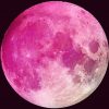 Pink Moon paint by number