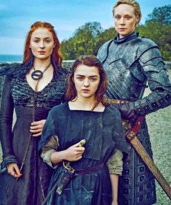 Sansa Arya Stark Game Of Thrones adult paint by numbers