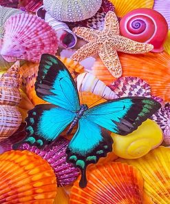 Seashells blue butterfly adult paint by numbers
