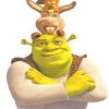 Shrek and his friends adult paint by numbers
