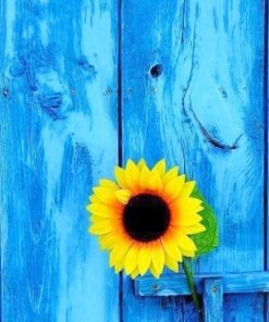 Old Wooden House Door Paint By Numbers - NumPaints - Paint by numbers