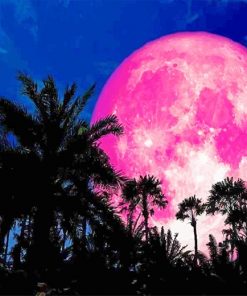 the full pink moon paint by numbers