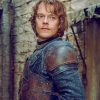 Theon Greyjoy Game Of Thrones adult paint by numbers