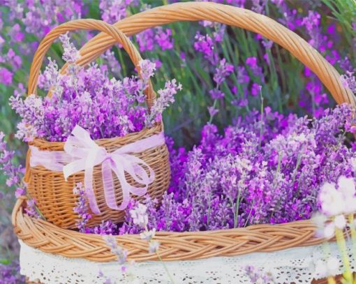 Basket Full Of Lavender Paint By Numbers