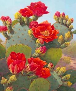 Beautiful Cactus Red Flowers Paint By Numbers