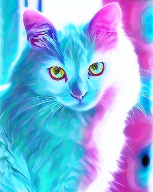 Blue and Pink Cat Paint By Numbers - Painting By Numbers