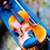 Beautiful Violin Photography paint by number