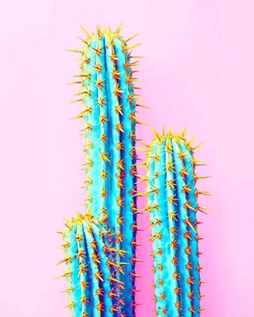 Blue Cactus paint by numbers
