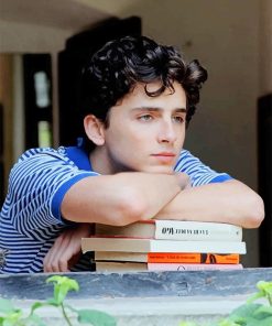Classy Handsome Timothee Chalamet paint by number