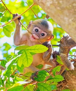 Cute Baby Monkey paint by number