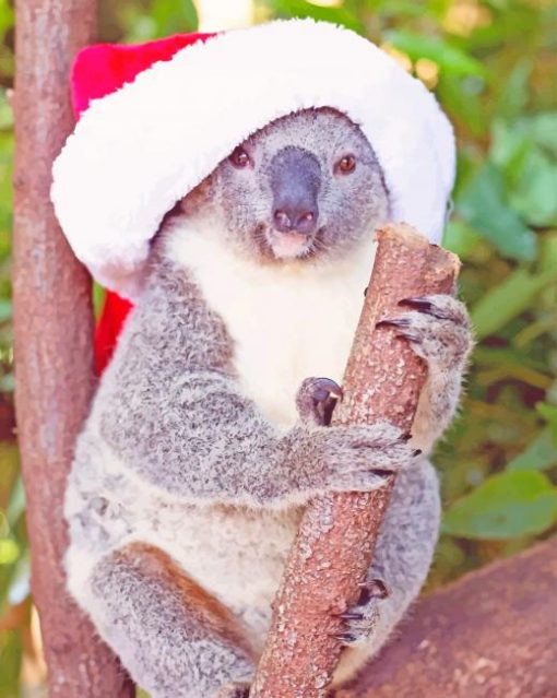 Funny Christmas Koala paint by numbers