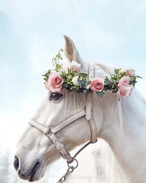 Horse Wearing Flowers Crown paint By Numbers