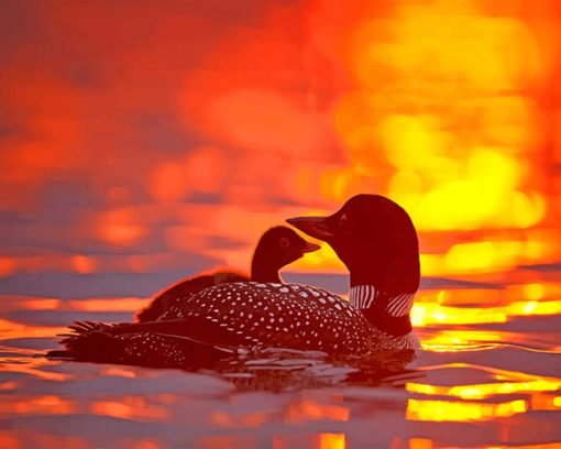 Loons Sunset paint by number