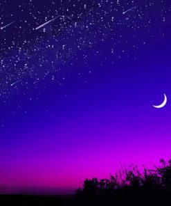 Moon Purple Sky paint by number