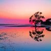 Nudgee Beach Australia paint by numbers
