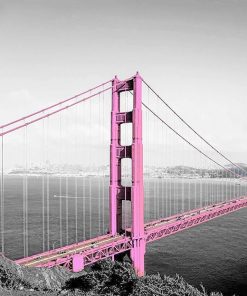 pink Golden Gate bridge paint by numbers