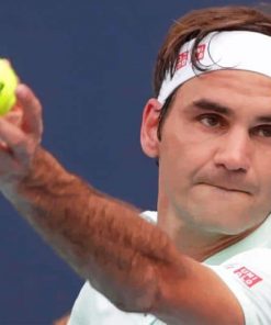 Roger Federer Tennis Player Paint By Numbers