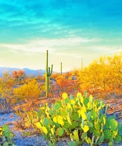 Saguaro National Park paint by number